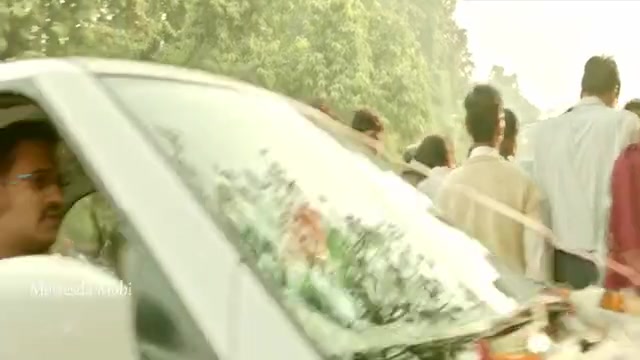Tiger 2015 HD Sample.mp4